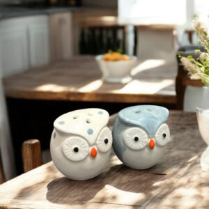 Ceramic Owl Salt & Pepper Shaker Set – Grey/White (Set of 2) | Cute Kitchen Decor & Dining Table Accessory